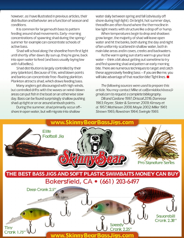 bass fishing baits, skinny bear bass lures jigs, crankbaits, hard baits, plastic lures for bass fishing